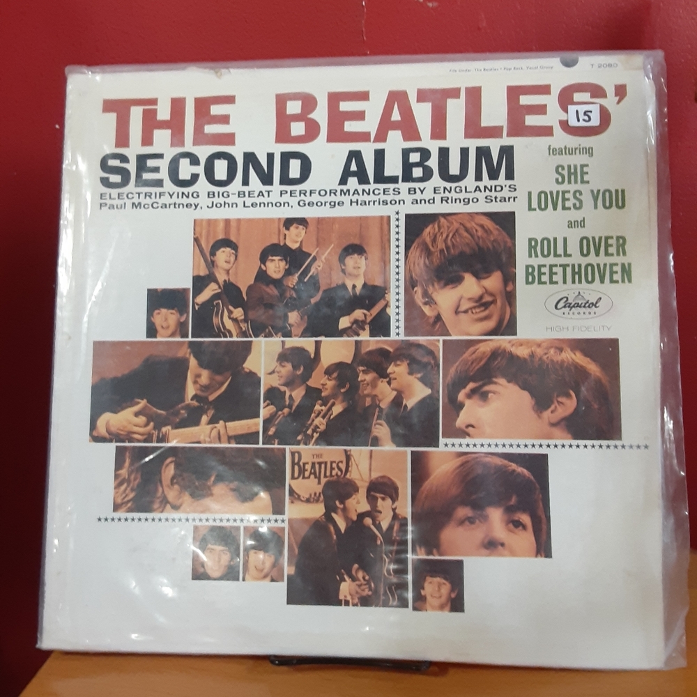 The Beatles Record on Vinyl